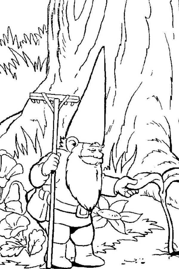 Kids-n-fun.com | Coloring page David the Gnome David the Gnome